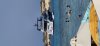 upload_2025-8-23_11-39-0.jpeg
