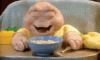 upload_2025-8-25_22-4-10.gif