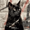 upload_2025-8-30_15-11-49.gif
