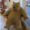 IMG_6887.jpeg