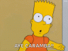 upload_2025-9-1_10-39-45.gif