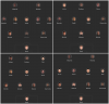 team xi.png