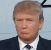 trump-really.gif