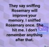 FB_IMG_1757085572356.jpg