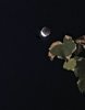 IMG_1185.jpeg