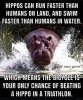 FB_IMG_1757531740687.jpg