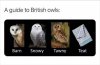 IMG_1181.jpeg
