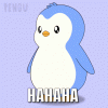 upload_2025-9-18_21-30-8.gif