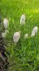 IMG-20250919-WA0000.jpg
