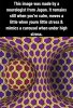 FB_IMG_1758662371795.jpg