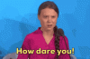 IMG_3095.gif