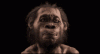 caveman.gif
