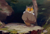 upload_2025-9-27_19-8-55.gif