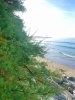 IMG_2998.jpeg