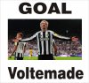 Voltemade.JPG