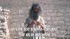 gi9ZIkErPn2m.gif