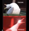 IMG_0038.jpeg