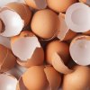 Can-you-compost-eggshells-featured-image.jpg
