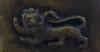 Lion close up.png