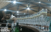 200w_d.gif
