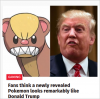 Capture.PNGDonaldTrump.PNG
