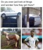 FB_IMG_1466633041777.jpg