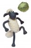 shaun-football.jpg