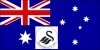 australian swan.jpg