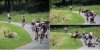 Triathalon Dublin.jpg