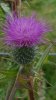 20160903_182313.jpg
