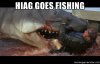 jaws.jpg