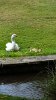 IMG-20160731-WA0006.jpg