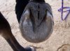 upload_2016-10-25_20-49-9.jpeg