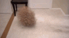 200w.gif