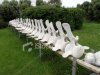 stock-photo-1214055-whale-skeleton-back-bone.jpg