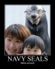 Navy-seals.jpg