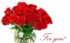 roses-030-4.jpg