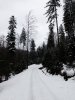 IMG_1715.JPG
