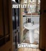 Sink-In.jpg