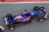 Toro-Rosso-01.jpg