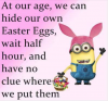 eggs.png