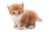upload_2017-4-18_21-0-24.jpeg