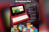 ryohghungipad0106a.jpg