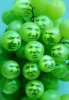 Sourgrapes.jpg