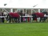 Windsor Palace & Excelebration1.jpg