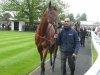 Dubawi Gold.jpg