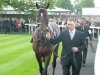 Bullet Train & Frankel2.jpg