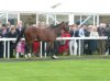 Frankel6.jpg