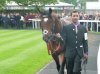 Frankel8.jpg