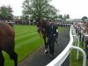Frankel9.jpg